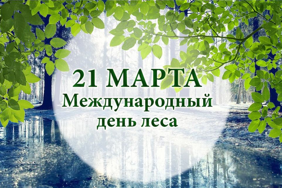 21 марта- Международный день леса